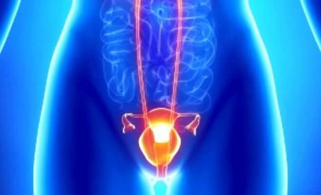 Urology -Infeccion vias urinarias