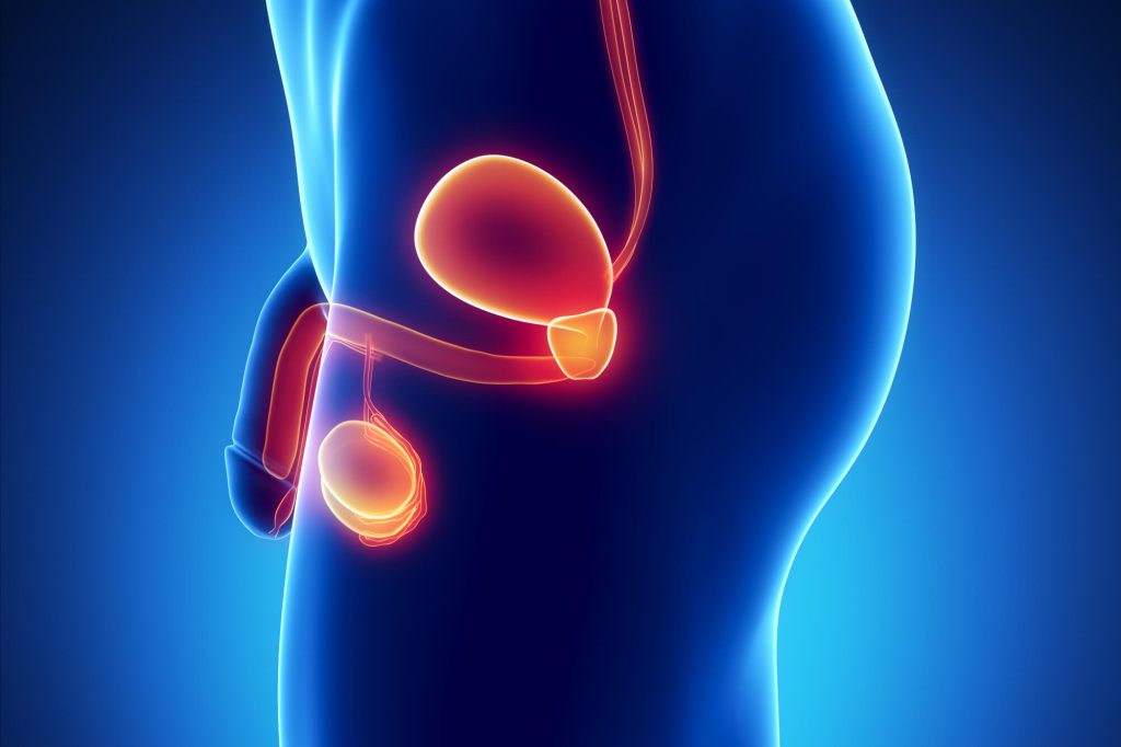 Urology cancer de prostata y vias urinarias
