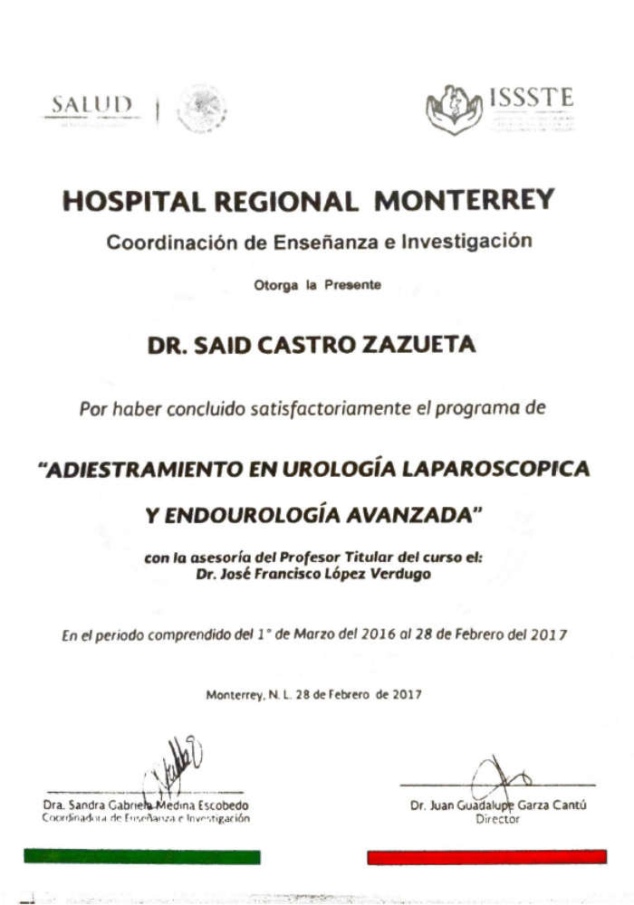 Fellow uro laparoscopica y enodurologia